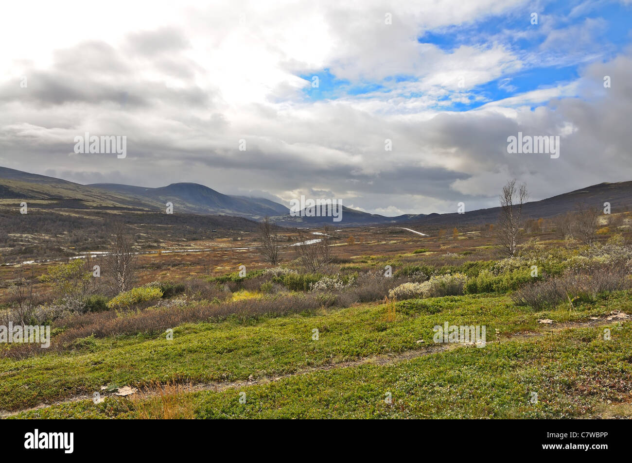 Alpine landscape in southern Norway Stock Photo