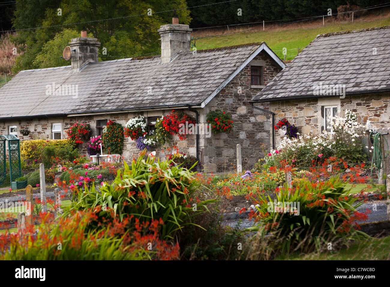 Ireland, Co Wicklow, Shillelagh, flower filled cottage garden in village Stock Photo