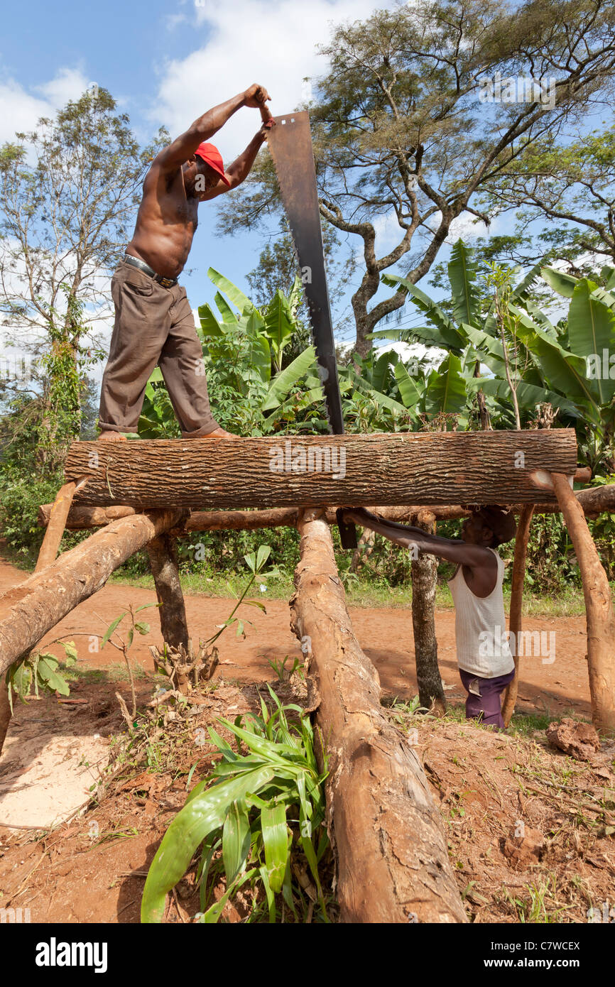 Pit saw hires stock photography and images Alamy