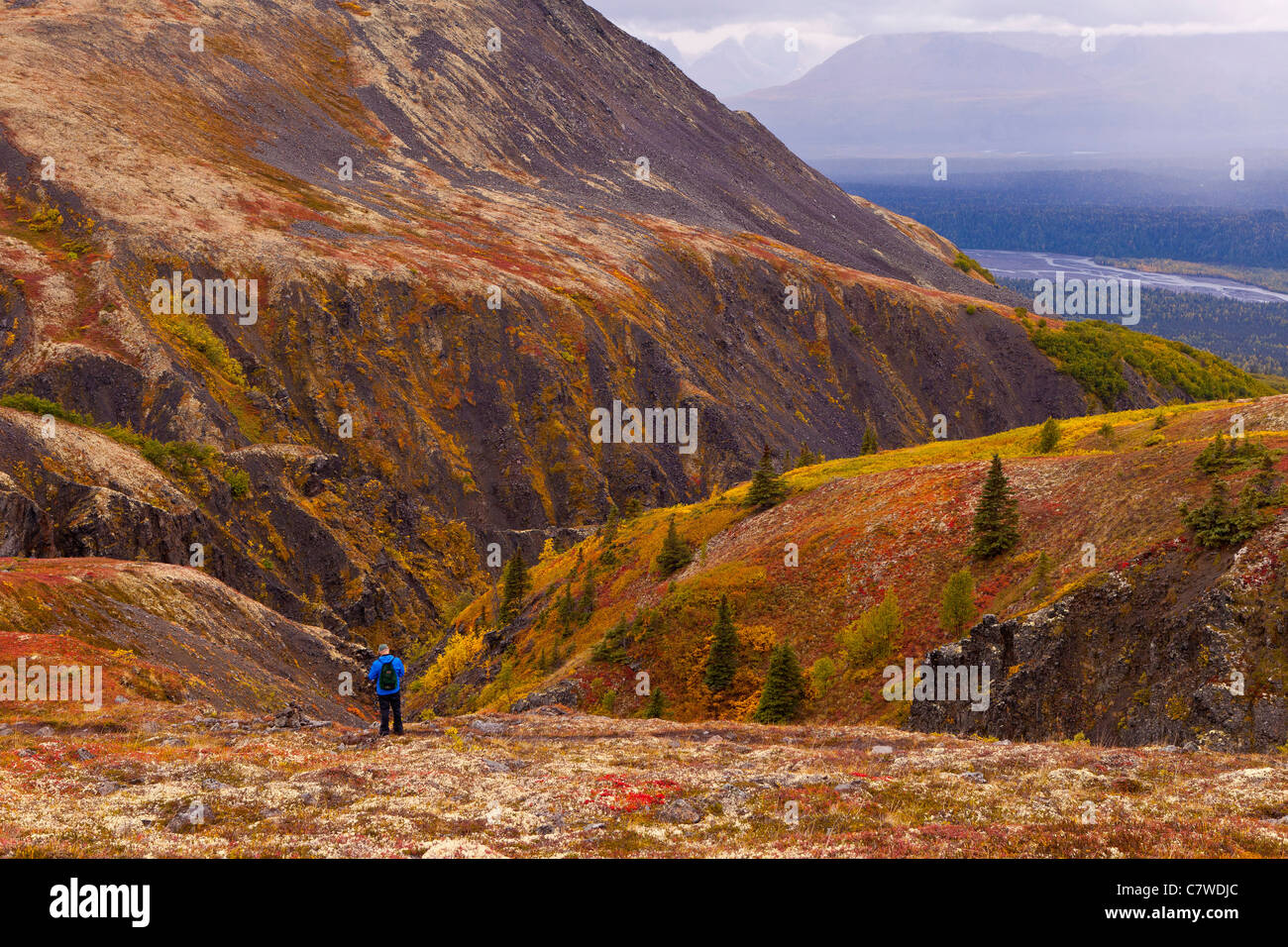DENALI STATE PARK, ALASKA, USA - Hiker and autumn tundra on Kesugi Ridge. Stock Photo