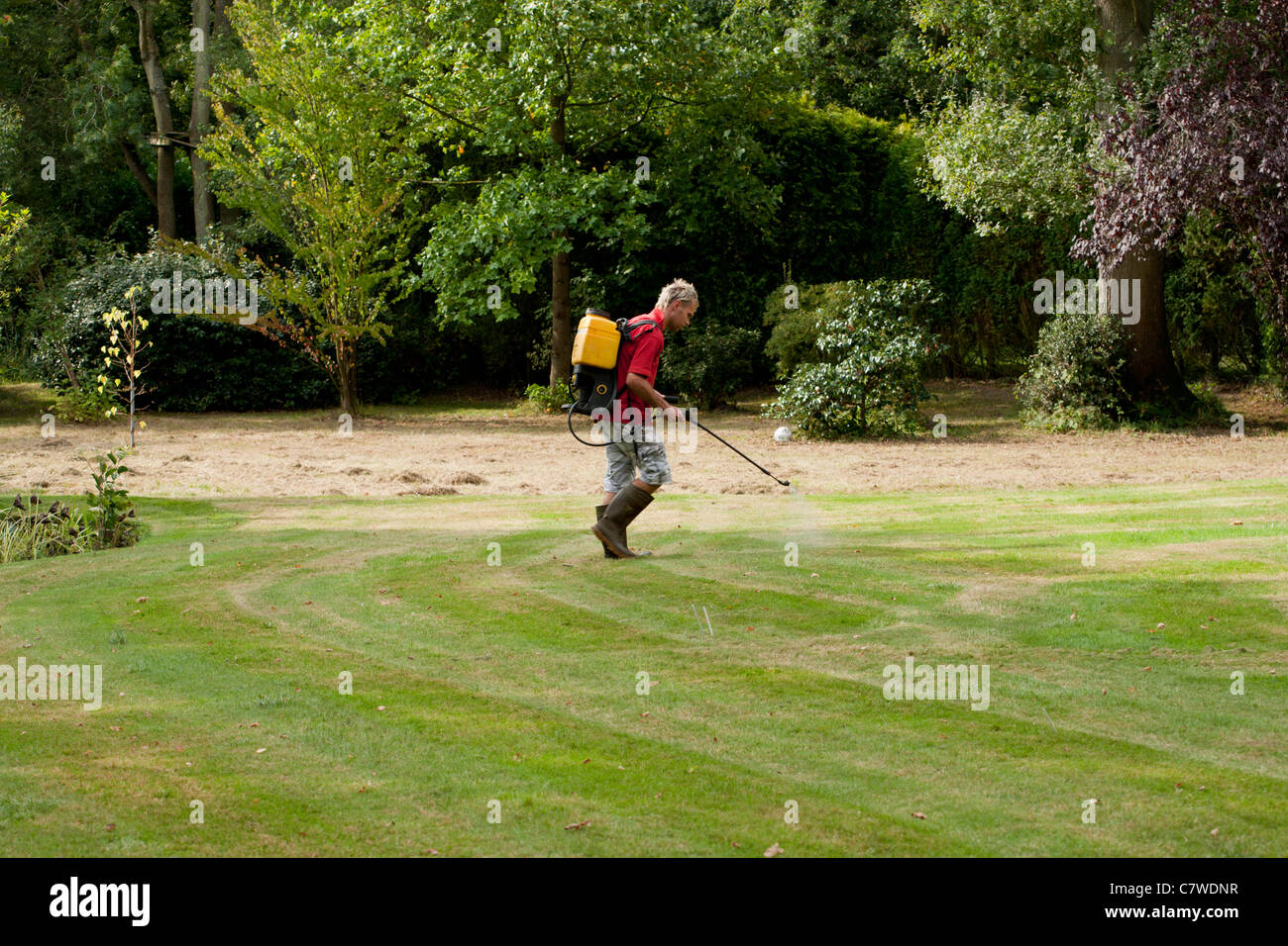 lawn treatment to spray weeds and fertilise the grass Stock Photo Alamy
