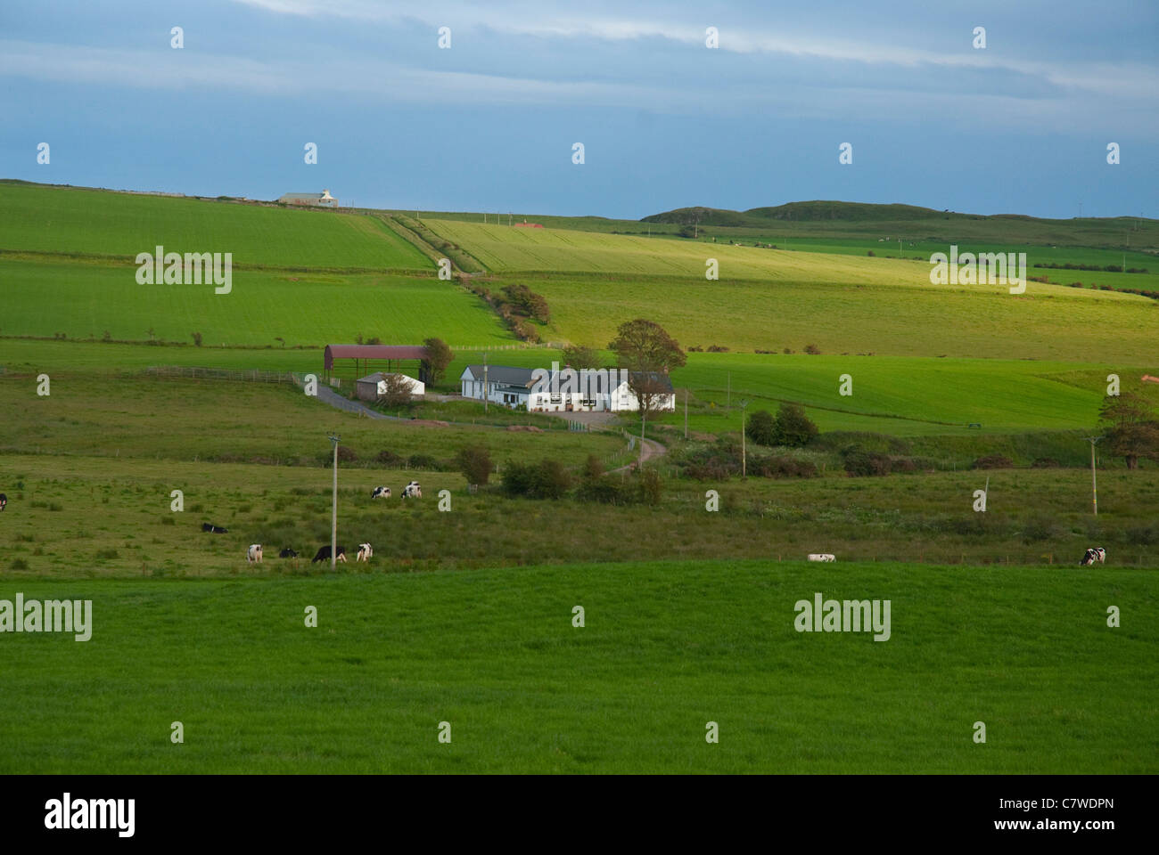 Pennyland Farm near Southend, Argyll Stock Photo Alamy