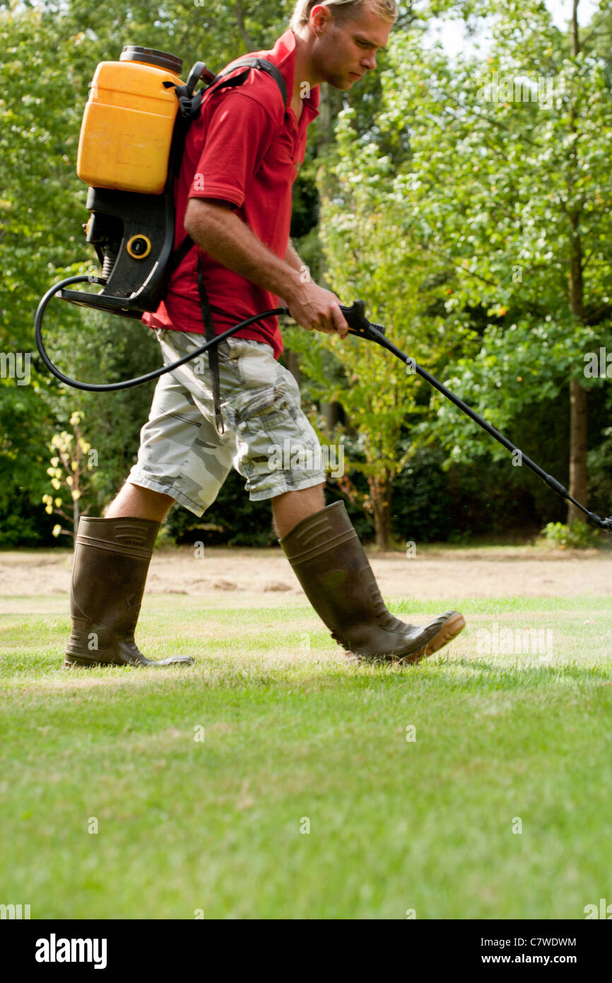 lawn treatment to spray weeds and fertilise the grass Stock Photo Alamy