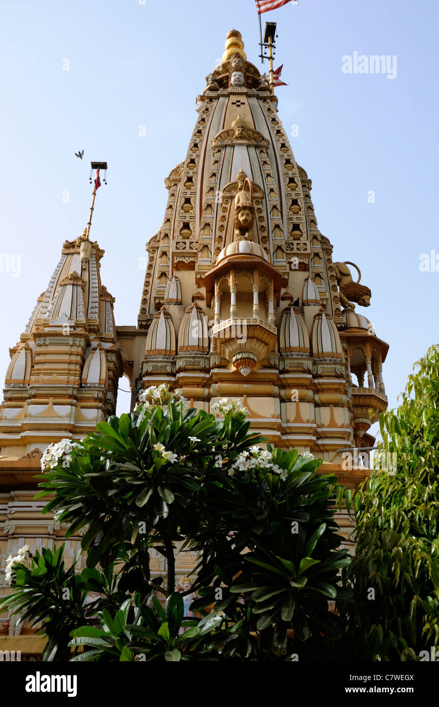 Shri Swaminarayan mandir Temple Ahmedabad Swaminarayan Sampraday Hindu ...