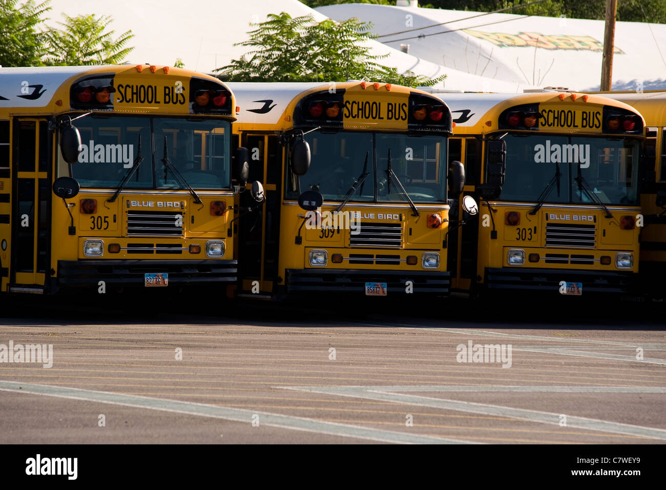 School buses in parking area Salt Lake City Utah USA Stock Photo Alamy