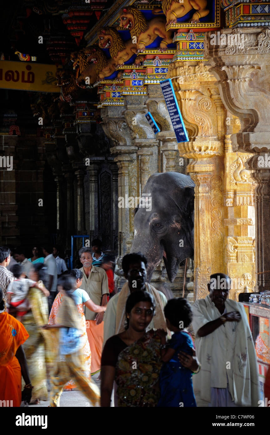 Coimbatore hi-res stock photography and images - Alamy