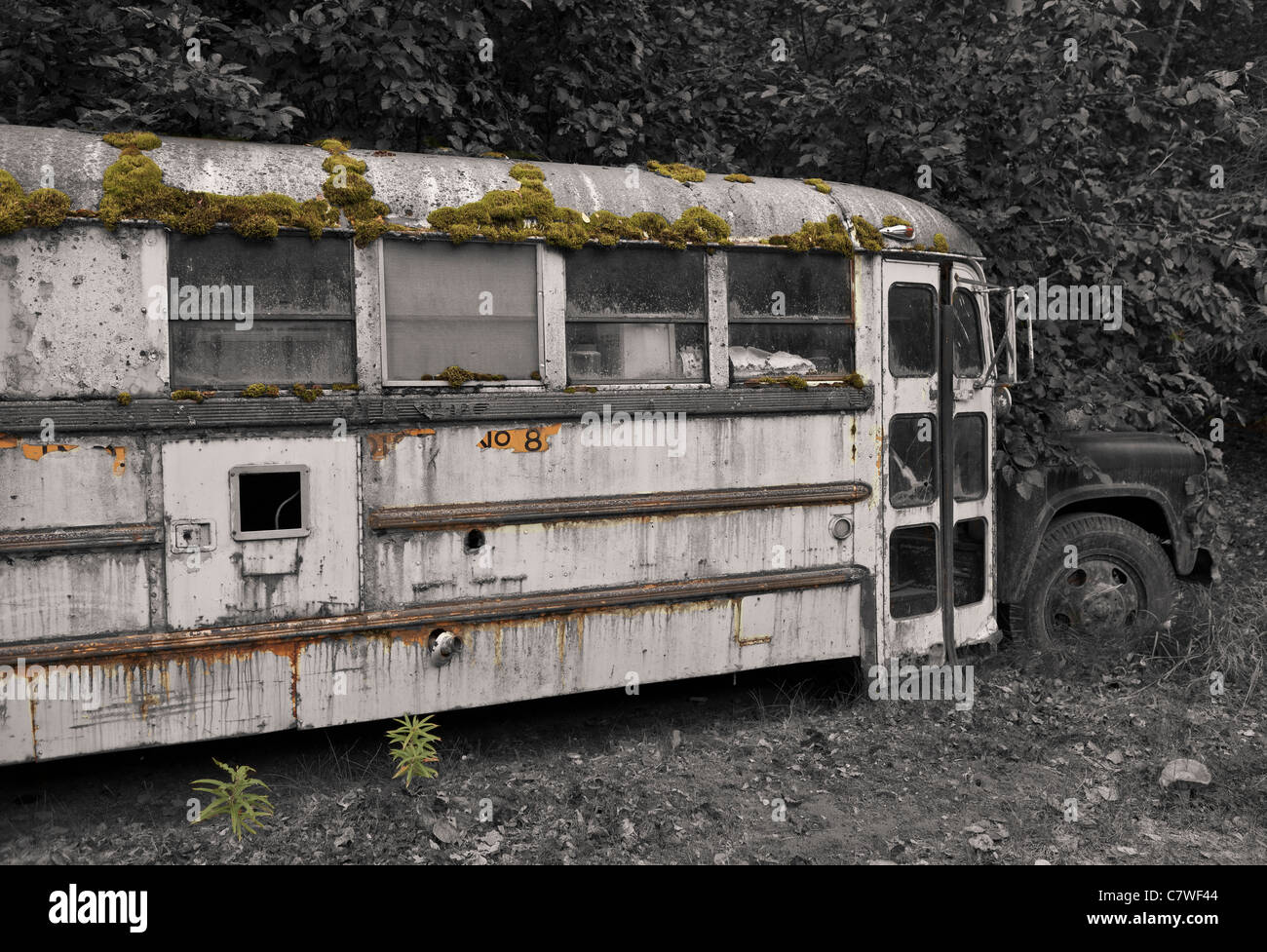 ALASKA, USA - abandoned bus Stock Photo