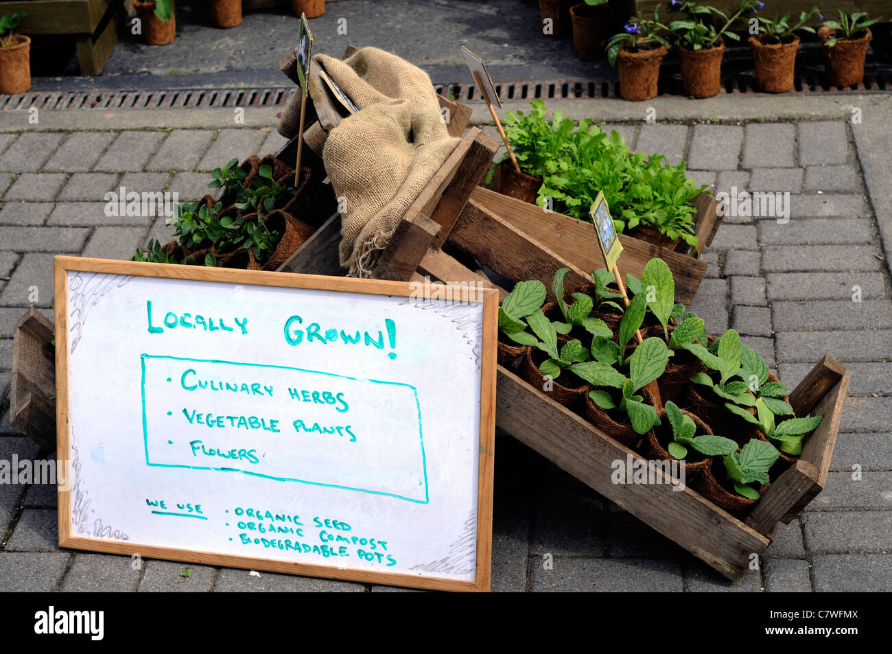 local locally grown organic herbs vegetables plants flowers farmers