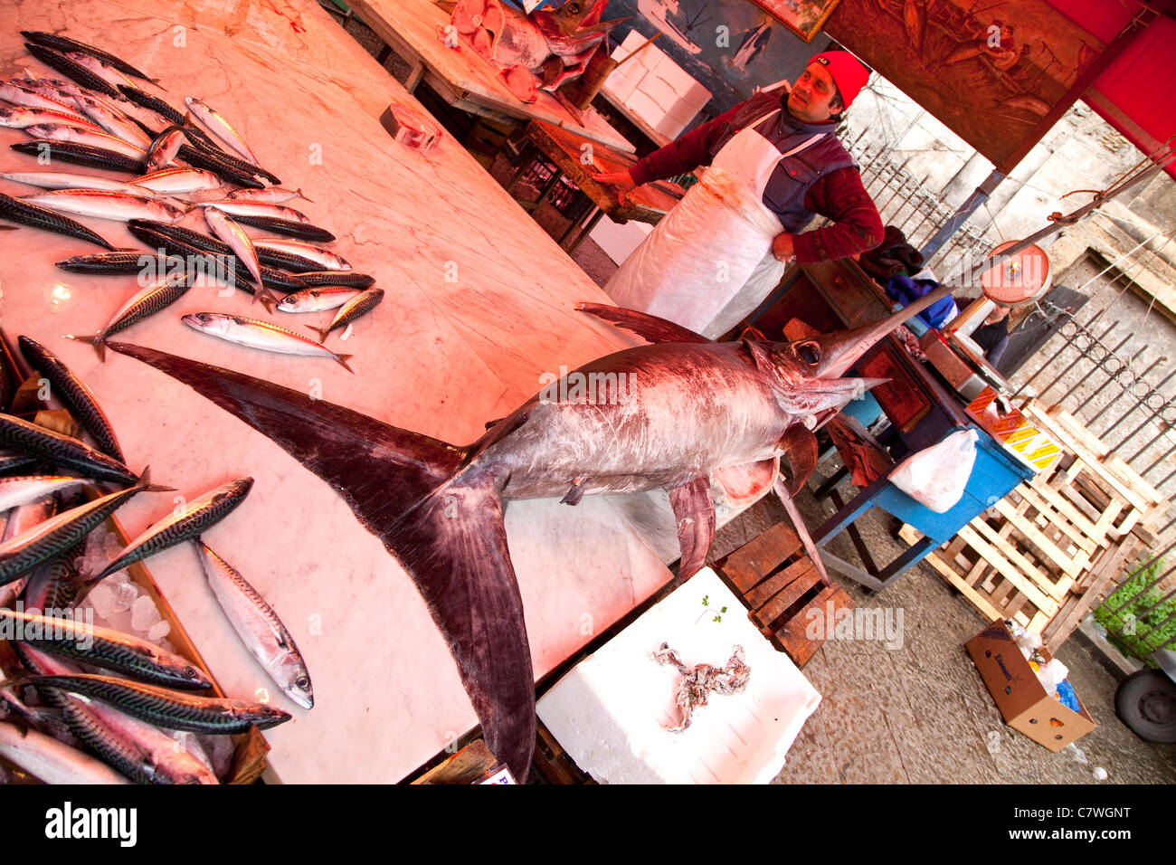 Traditional fish shop selling seafood, fish and swordfish at Ballarò, old market in Palermo, Sicily, Sicilia, Italy Stock Photo