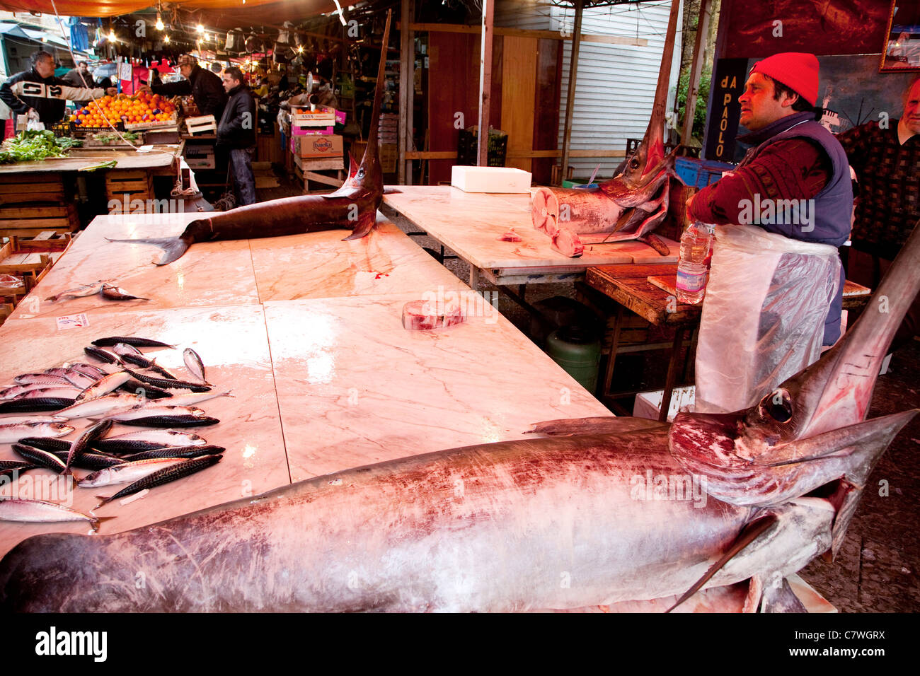 Broadbill swordfish hires stock photography and images Alamy