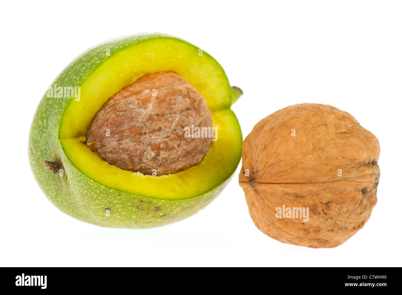 Ripe walnuts in green husk isolated over white background Stock Photo