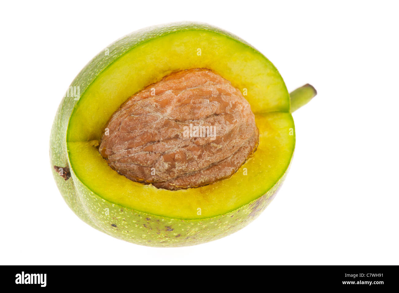 Ripe walnut in green husk isolated over white background Stock Photo