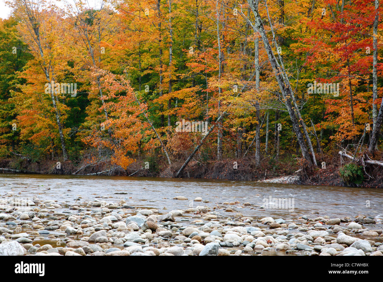 Ammonoosuc river carroll hires stock photography and images Alamy