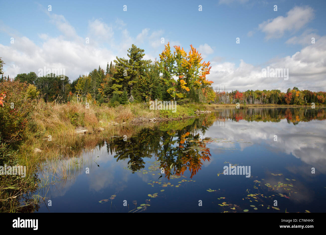 Pondicherry Wildlife Refuge - Reflection of autumn foliage in Cherry ...