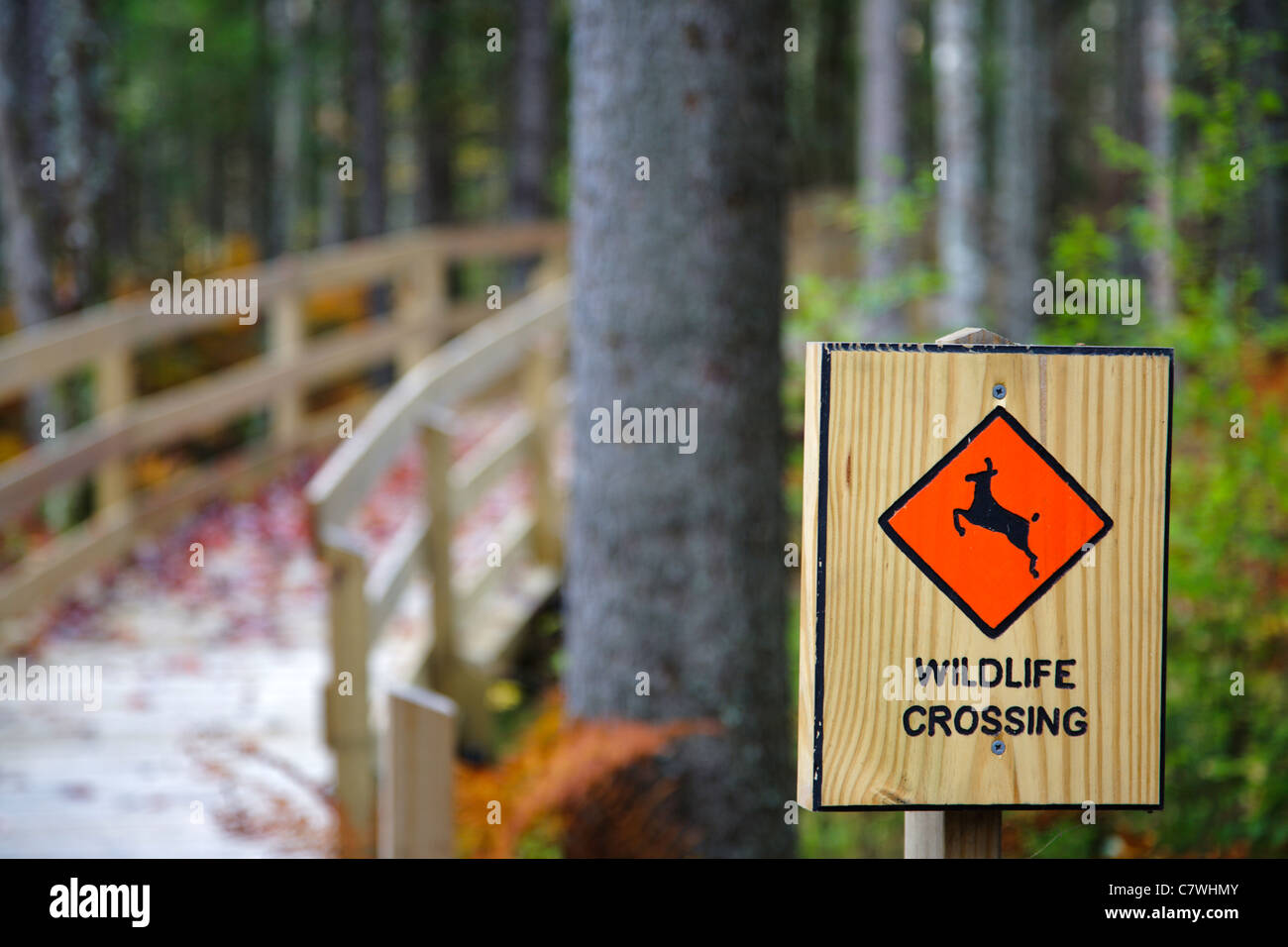Pondicherry Wildlife Refuge Mud Pont Trail in Jefferson, New