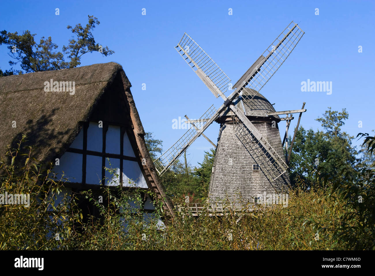 Old frame house and a windmill in the open-air museum in Cloppenburg Stock Photo
