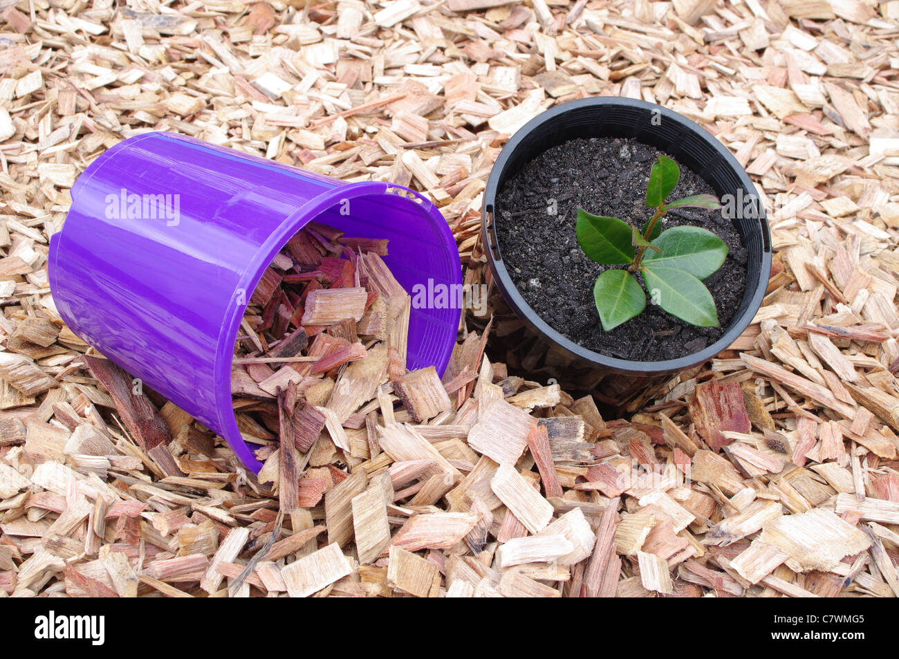 Mulch hires stock photography and images Alamy