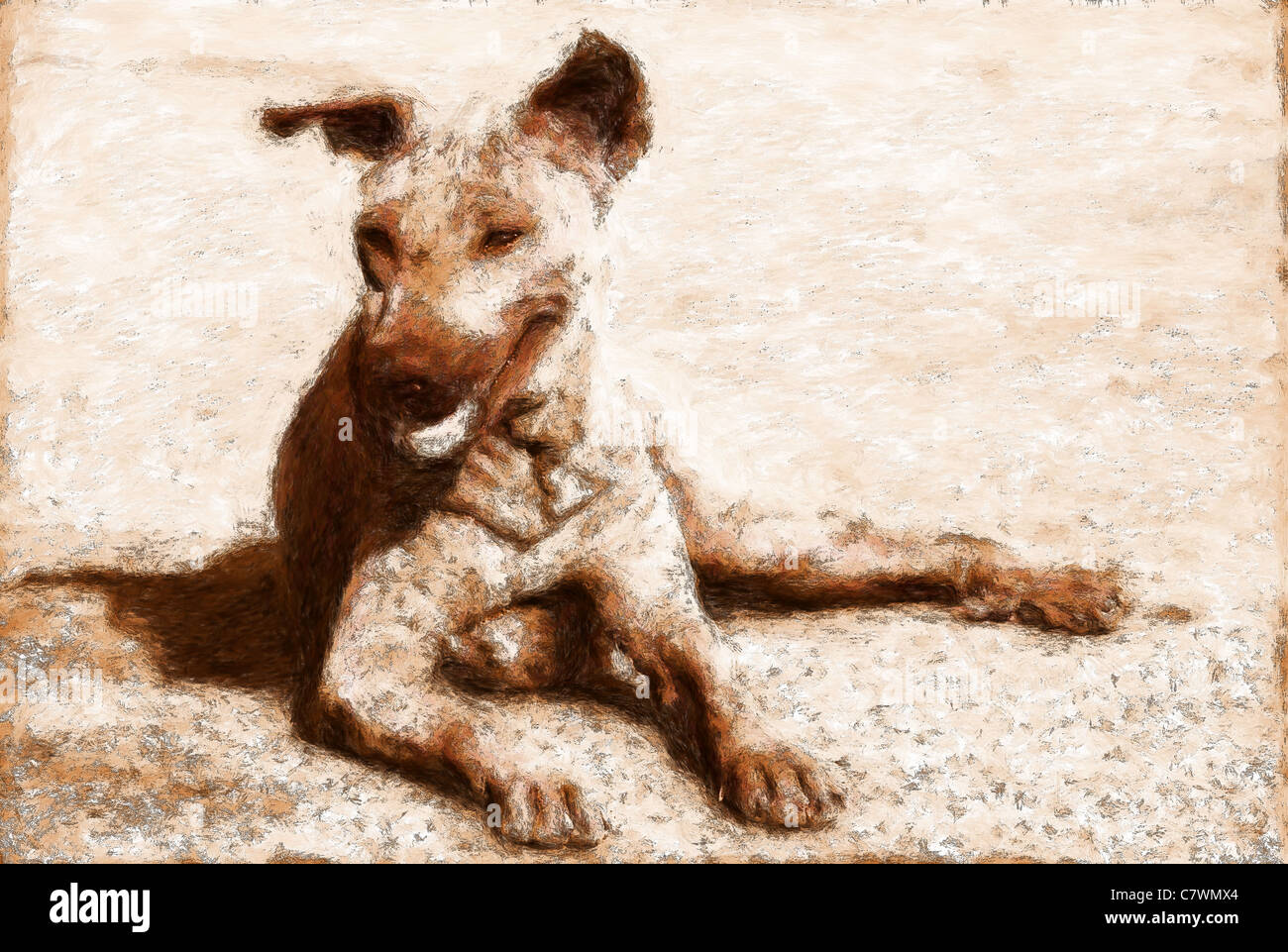 Painting in brown of a mongrel street dog from Thailand Stock Photo