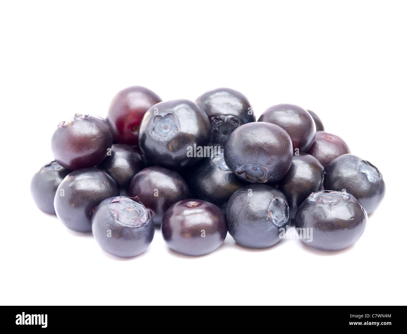 Blueberries Polished Stock Photo