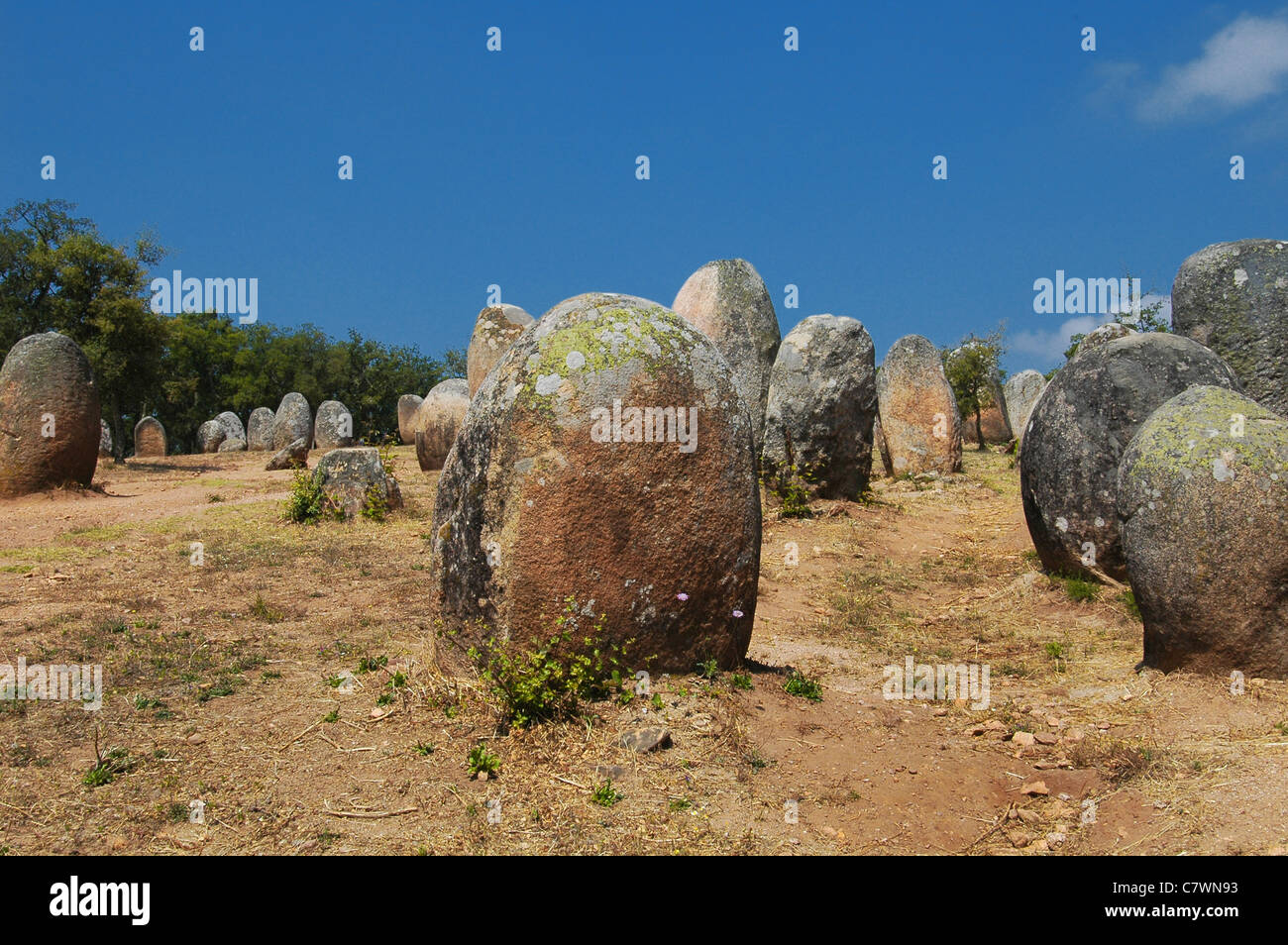 Ancient megalithic menhirs standing stones of the Cromlech of the Almendres or Cromoleque dos Almendres located near the village of Nossa Senhora de Guadalupe, in the civil parish of Nossa Senhora da Tourega, municipality of Evora, in the Portuguese Alentejo.Portugal Stock Photo