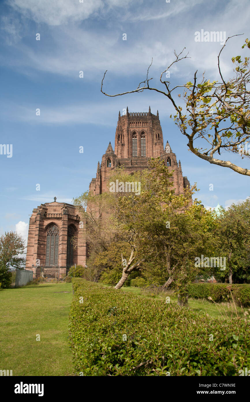 Liverpool Cathedral from St James Mount St James Park and Cemetery, England, UK Stock Photo