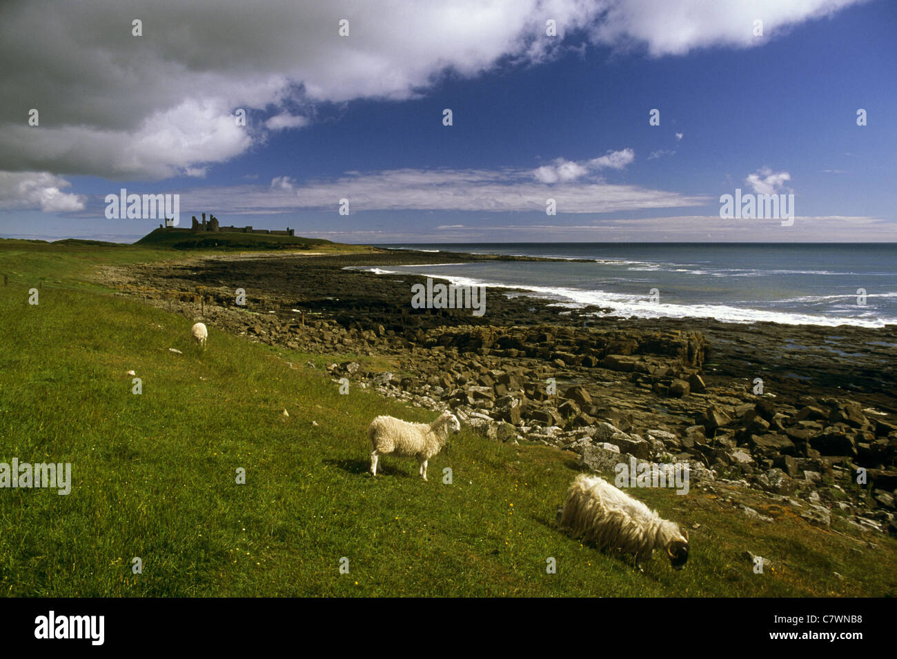 Northumberland coastal landscape hi-res stock photography and images ...