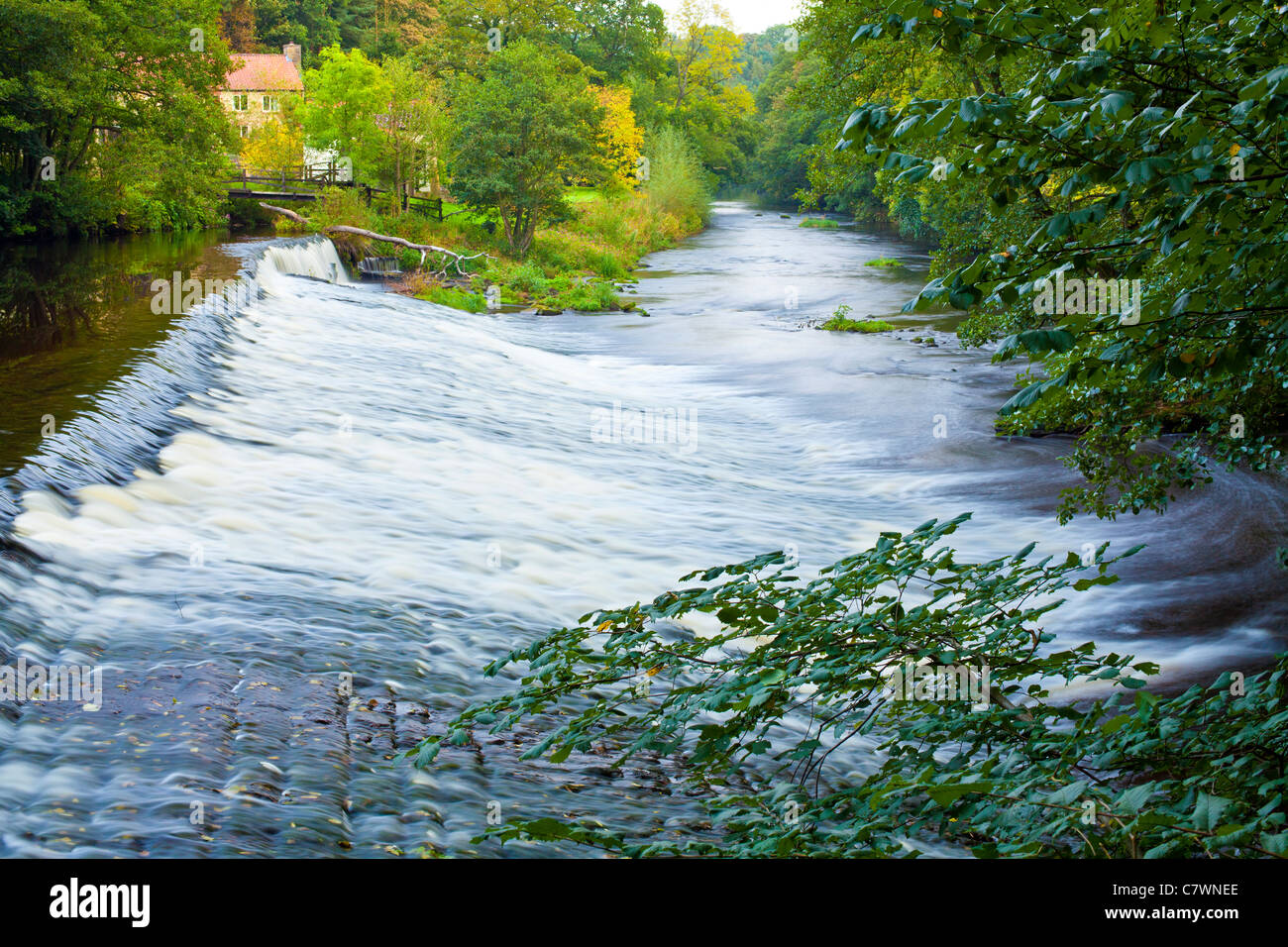 Wier at Scotton Mill in the Nidd near Knaresborough, North