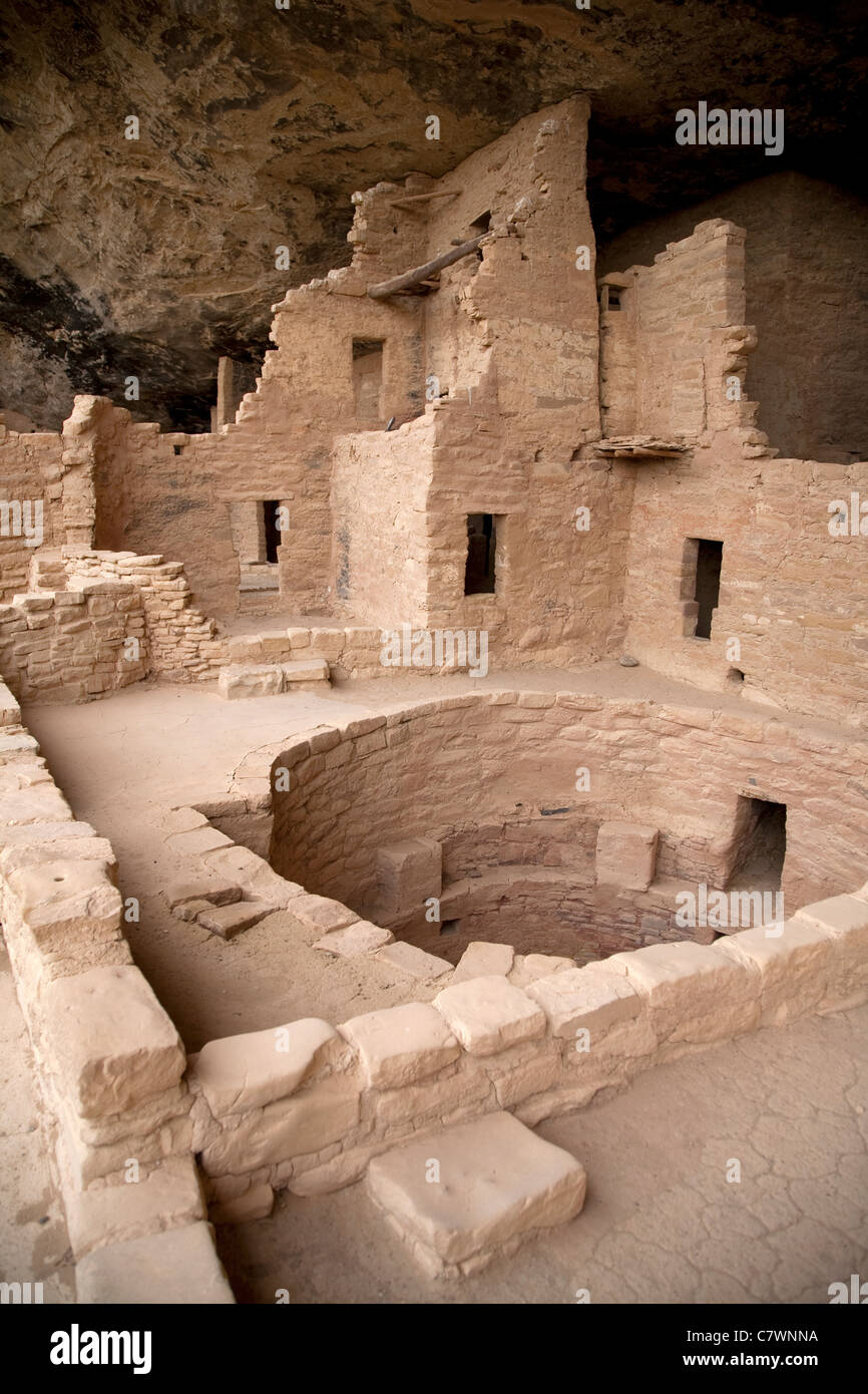 spruce tree house ruined Puebloan cliff dwelling at Mesa Verde National Park in Colorado USA Stock Photo