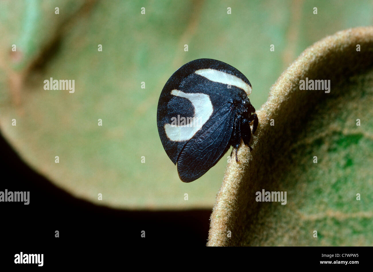 Warningly hi-res stock photography and images - Alamy