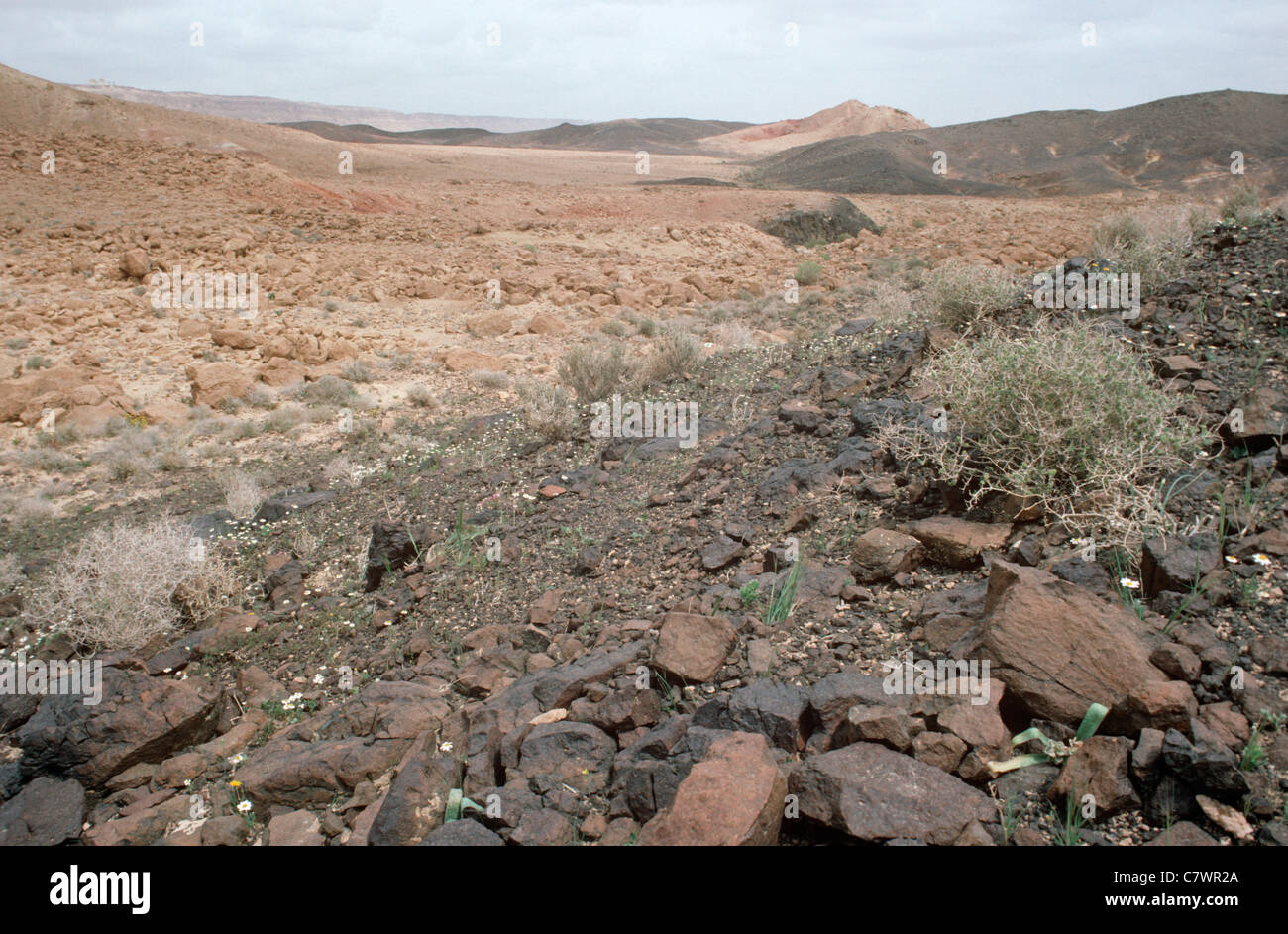 Basalt desert hi-res stock photography and images - Alamy