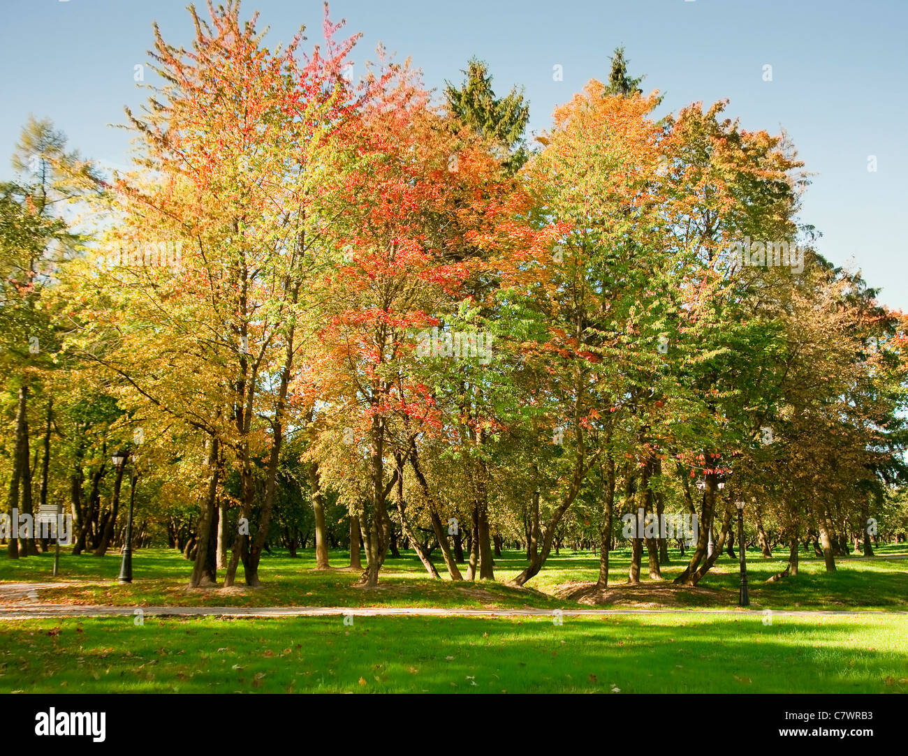 Autumn in the park Stock Photo - Alamy