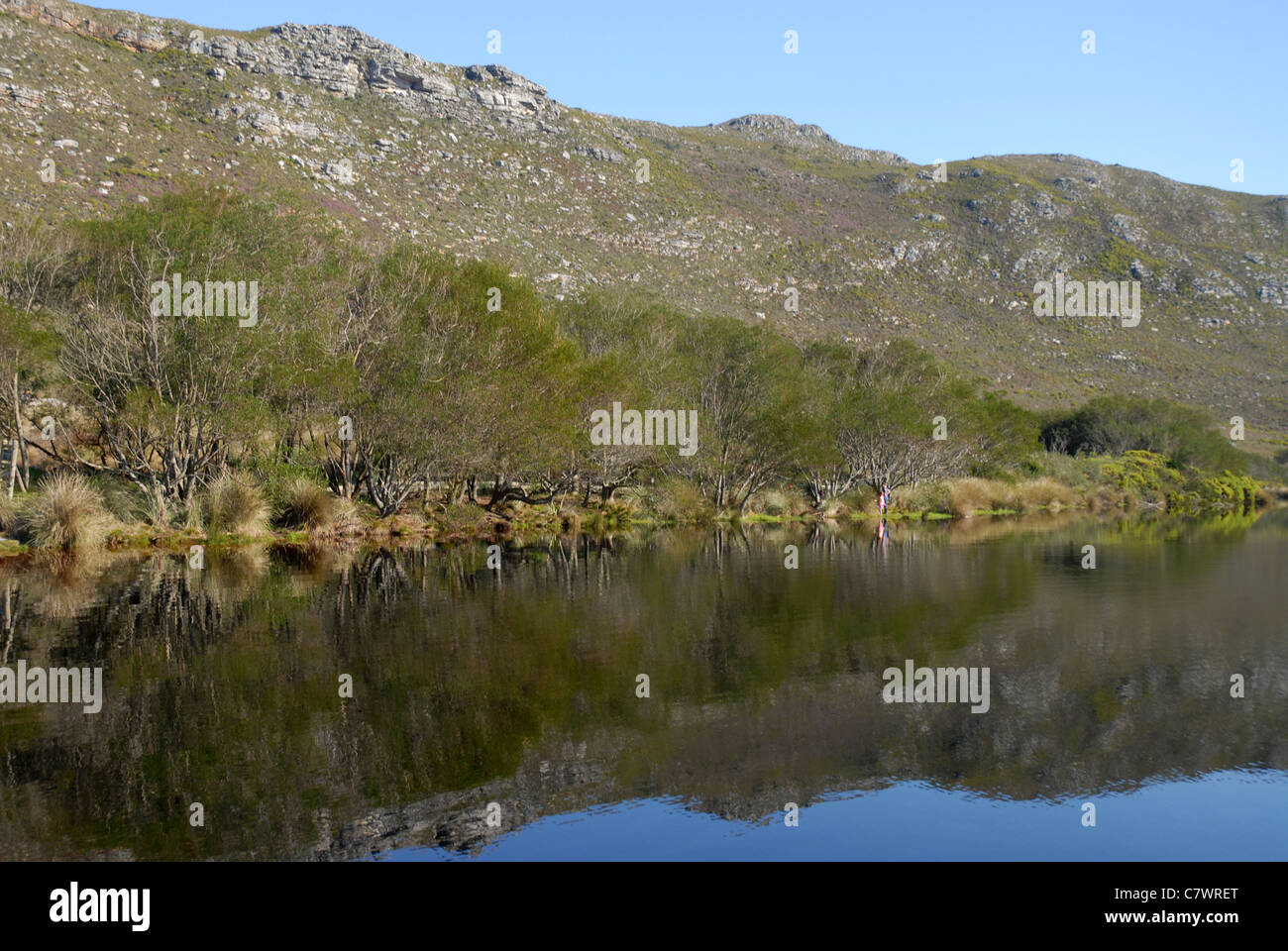 view across reservoir at Silvermine Walks, Cape Town, Western Cape, South Africa Stock Photo