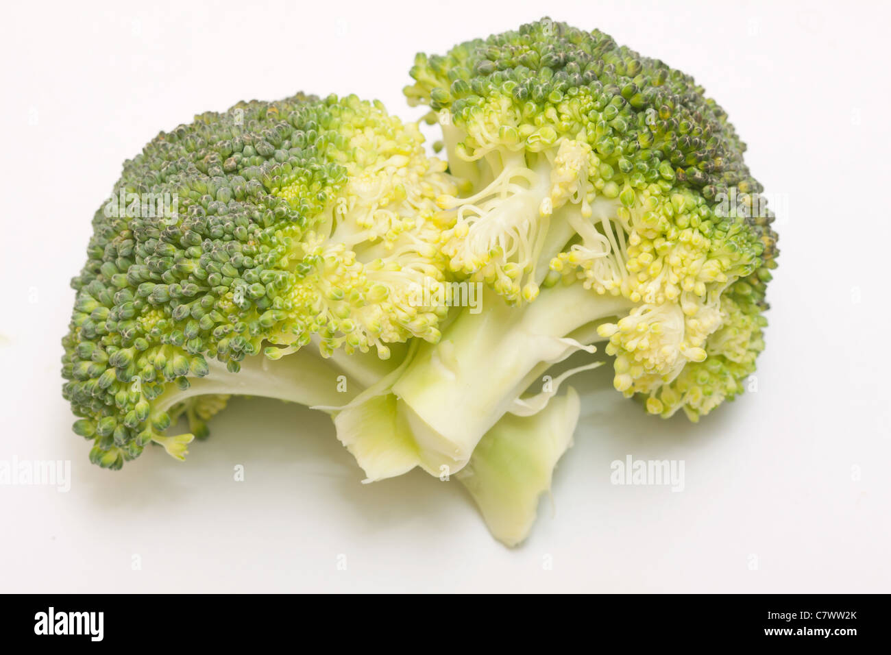 Macro photography broccoli hires stock photography and images Alamy