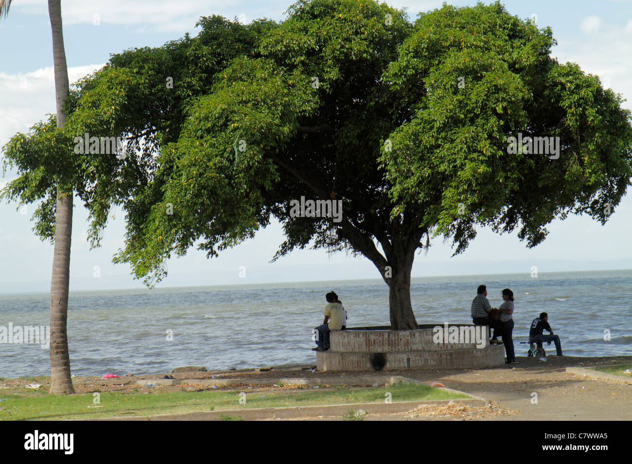 Managua Nicaragua,El Malecon,Lake Managua,Xolotlan,waterfront,recreational area,tree,canopy,shade,man men male adult adults,woman female women,couple, Stock Photo