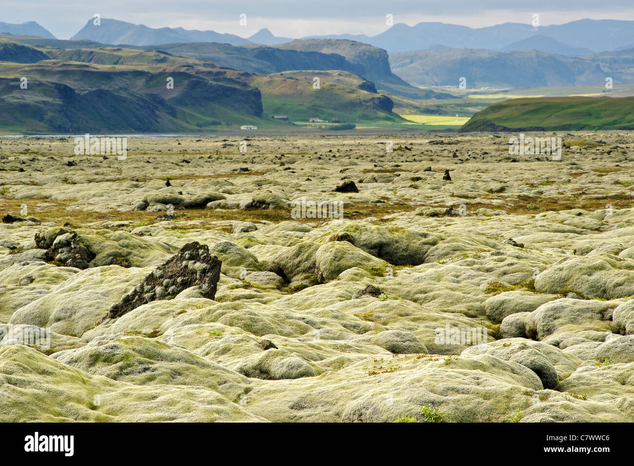 Lava field fields hi-res stock photography and images - Alamy