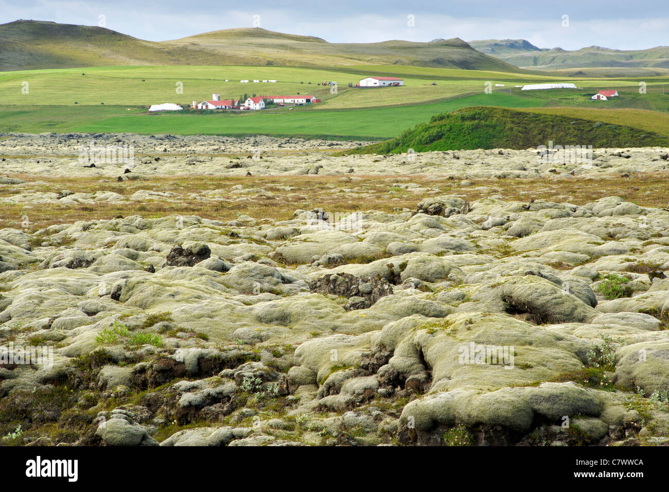Iceland lava field landscape hi-res stock photography and images - Alamy