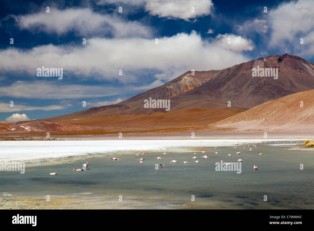 The stunning scenery of the Bolivian altiplano, between San Pedro de Quemez and Ojo de Perdiz Stock Photo