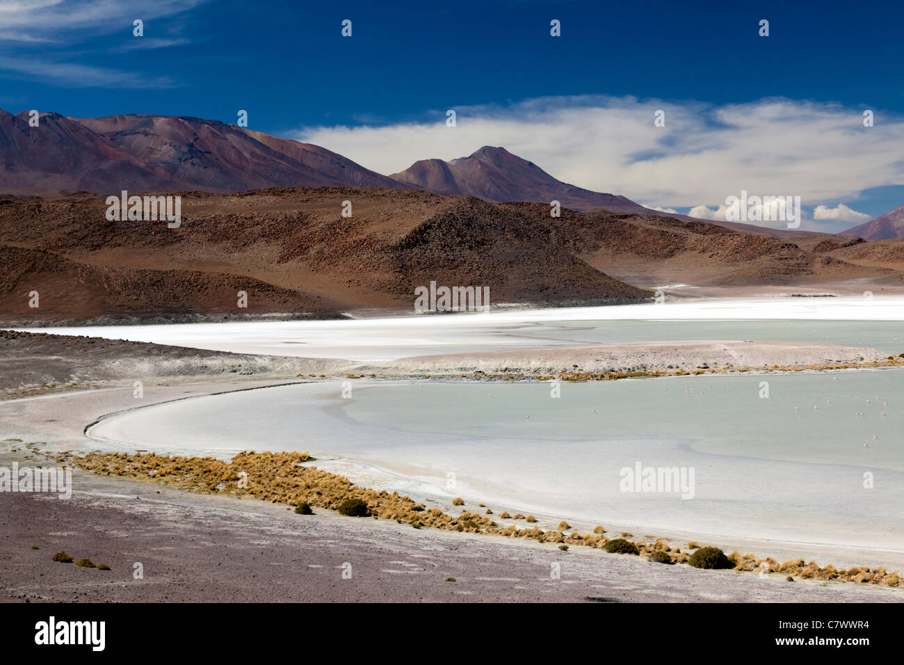 The stunning scenery of the Bolivian altiplano, between San Pedro de Quemez and Ojo de Perdiz Stock Photo