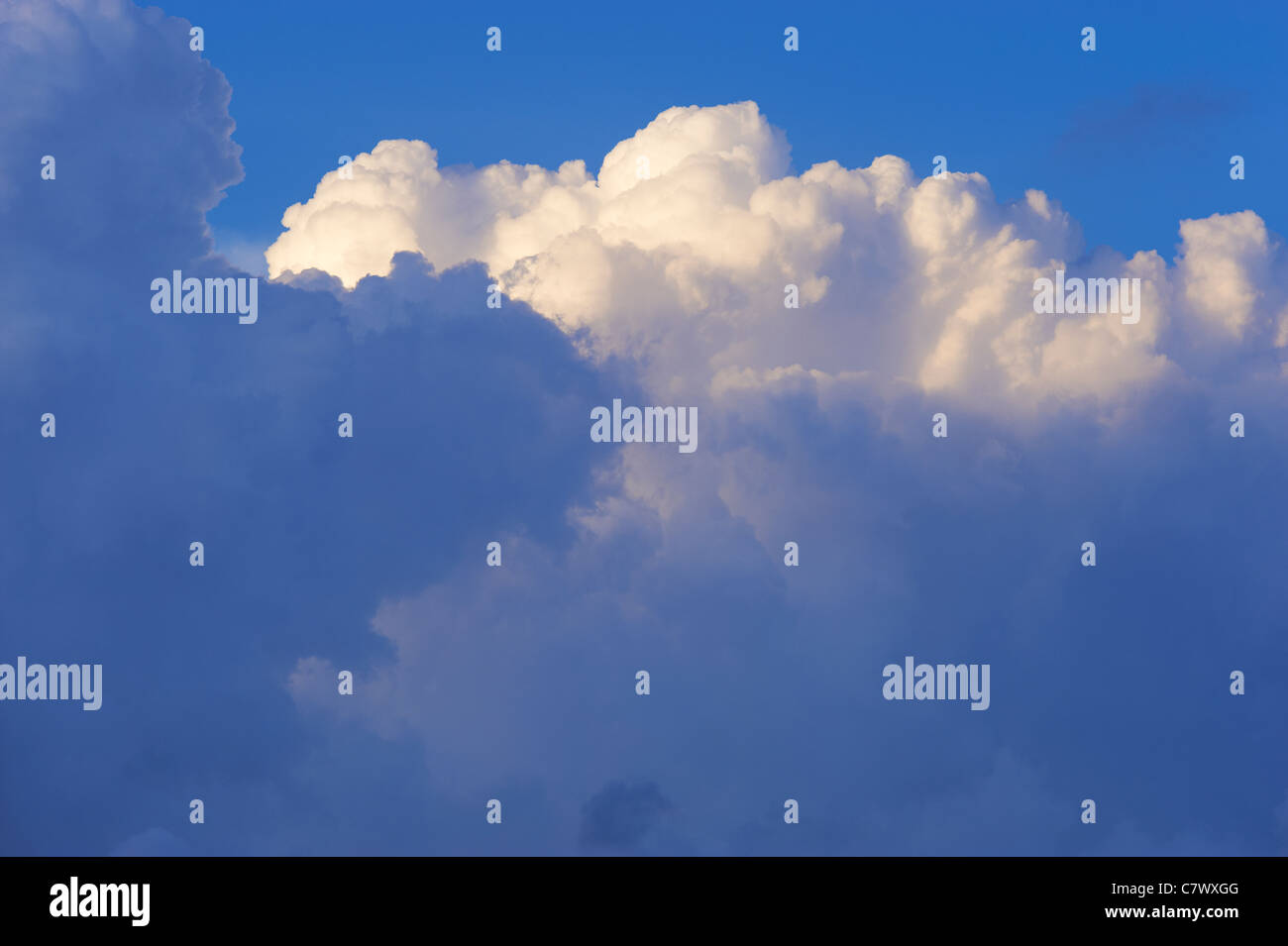 Cumulus cloudscape Stock Photo
