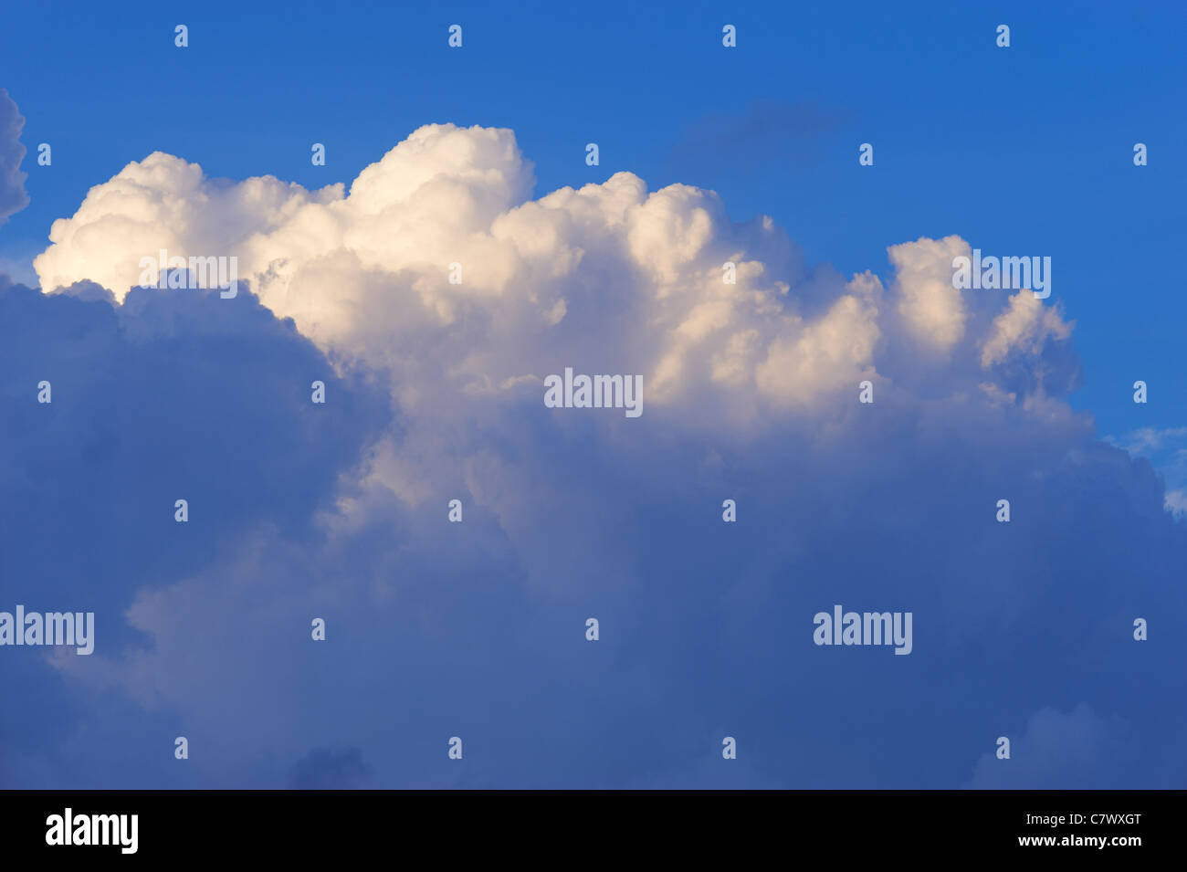 Cumulus cloudscape Stock Photo