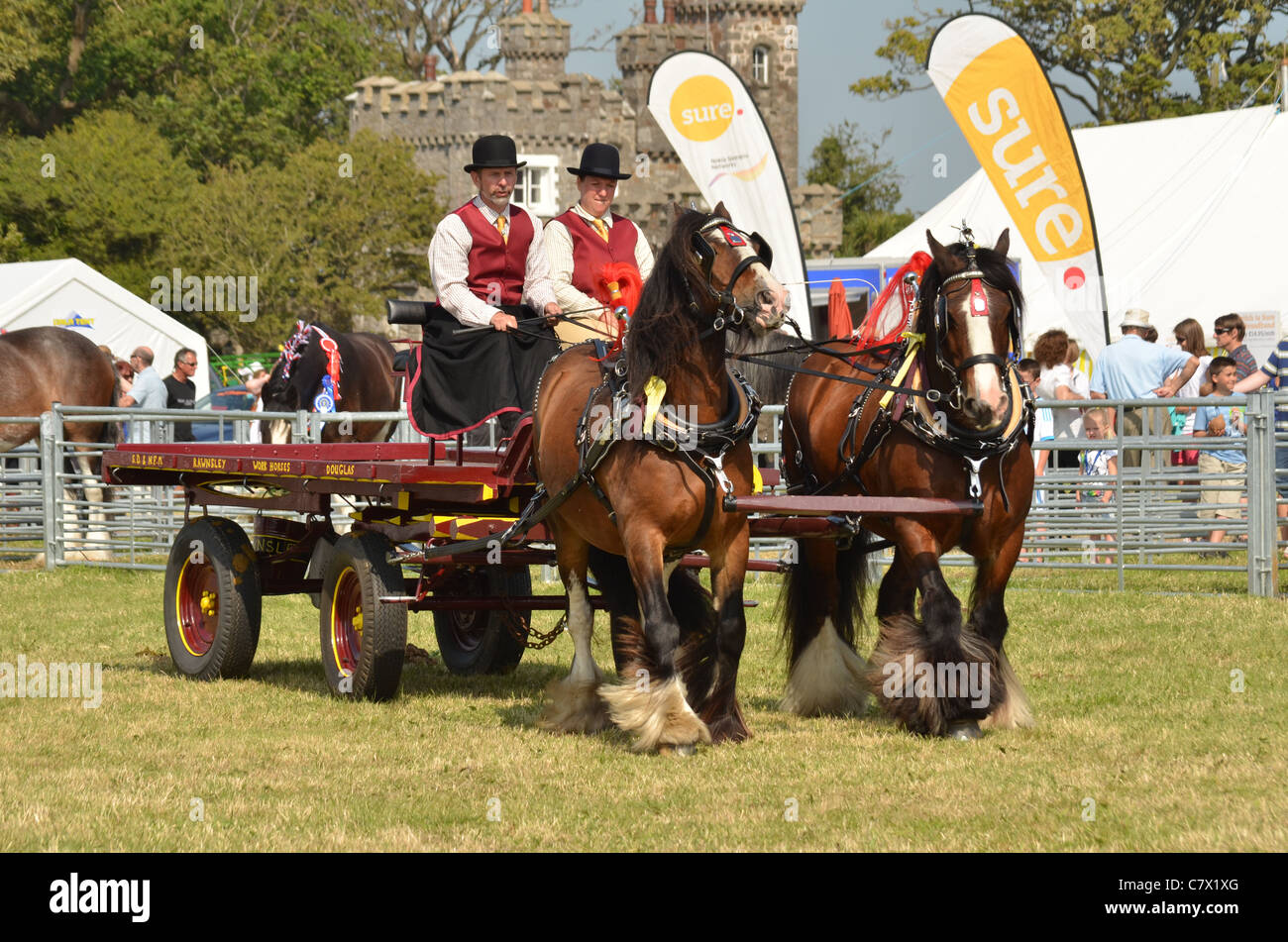 Dray and Horses Stock Photo - Alamy