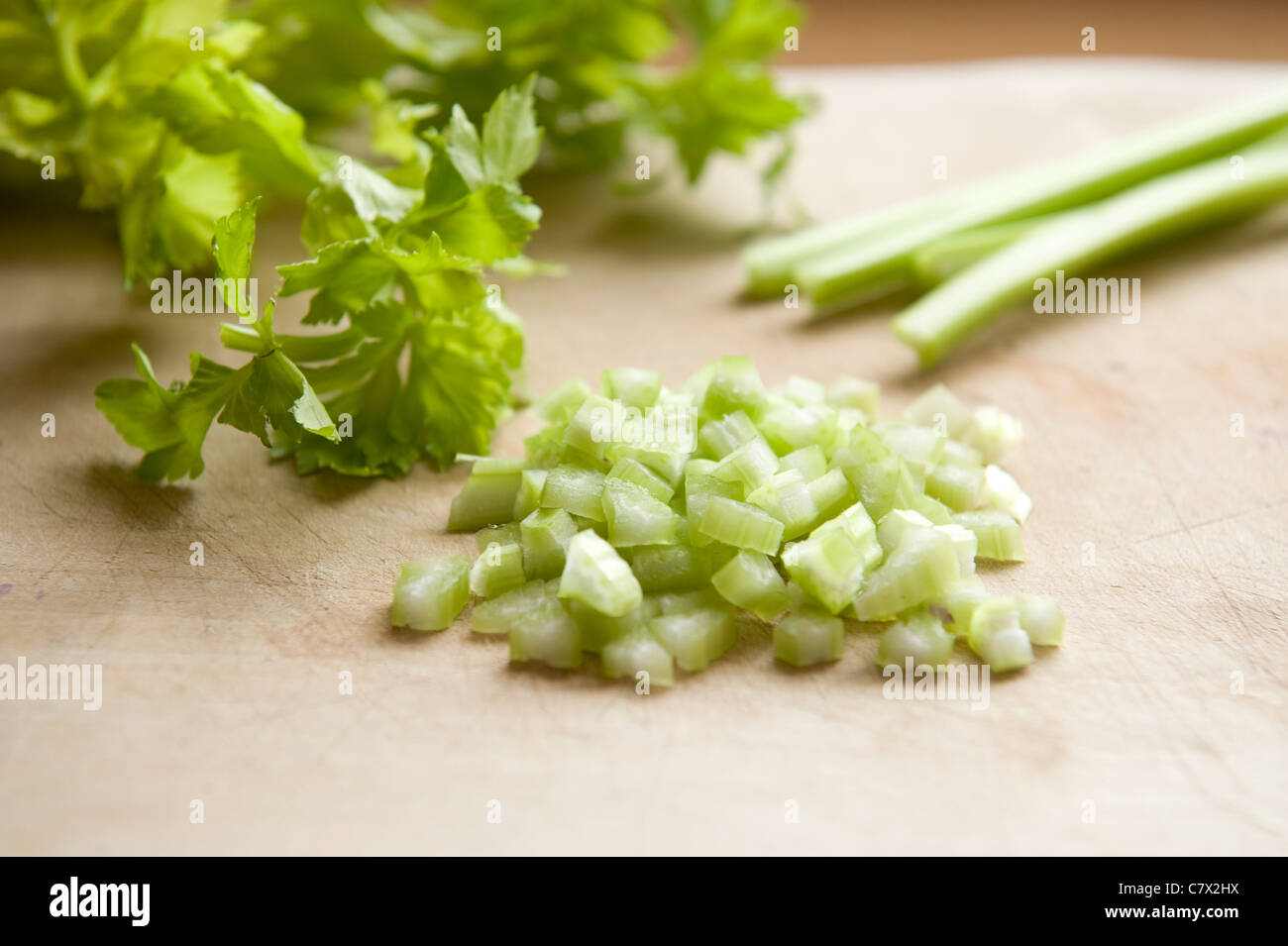 Celery leaves hires stock photography and images Alamy
