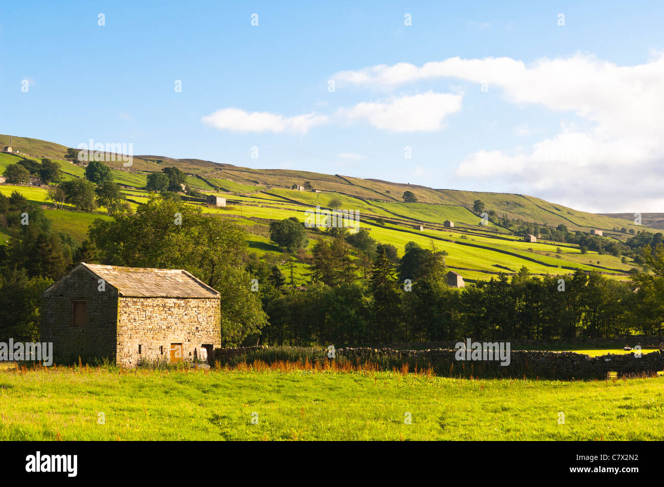 A view of Low Row in Swaledale in North Yorkshire , England , Britain , Uk Stock Photo