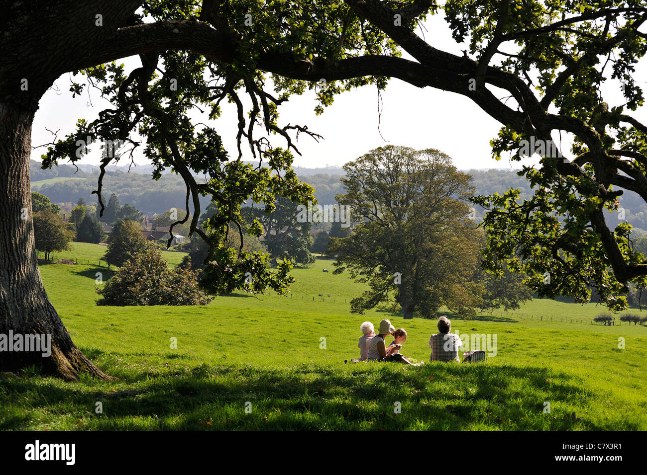 Family having a picnic under a tree, Mother, Father, Daughter (child) and Grandmother. Stock Photo