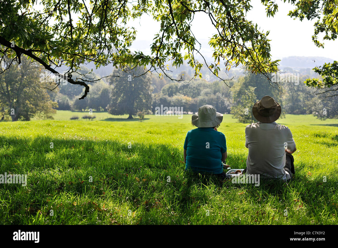 Old couple under a tree admiring the countryside view. Stock Photo