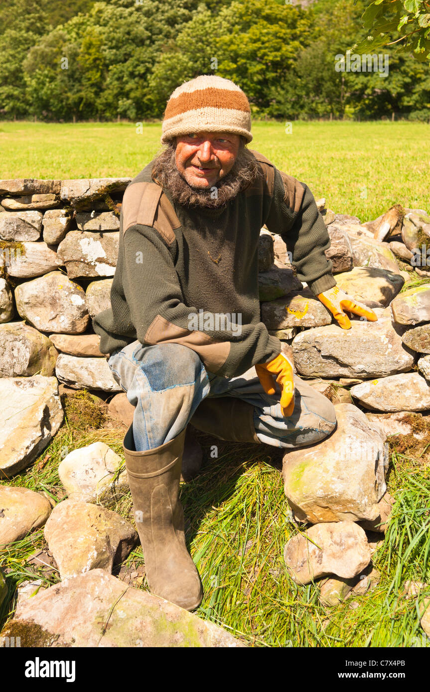 A local man repairs a dry stone wall at Muker in Swaledale in North Yorkshire , England , Britain , Uk Stock Photo