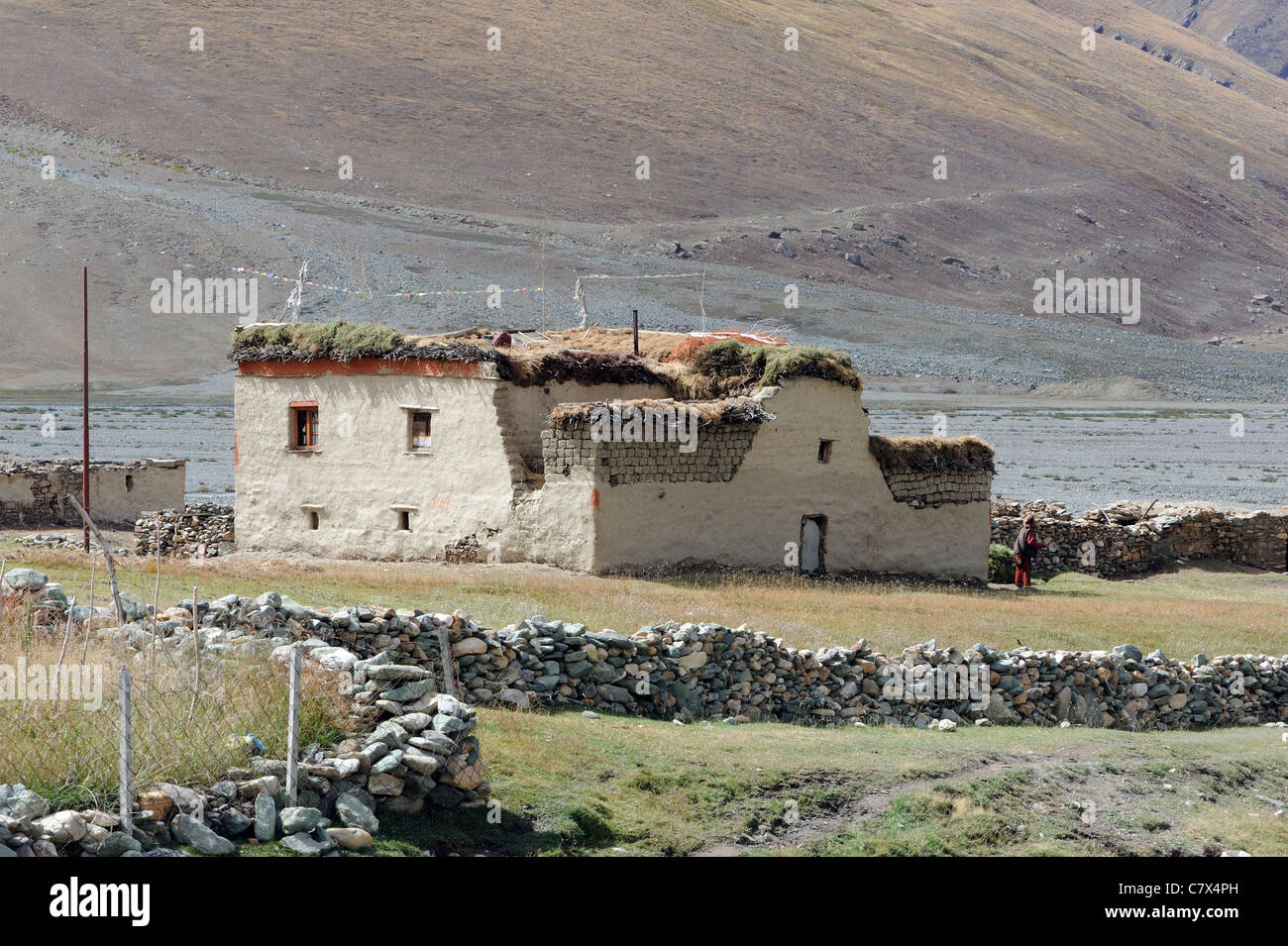 A traditional flat-roofed house in the village of Rangdum in Zanskar .. Wood for fuel and hay are stored on the roof . Stock Photo