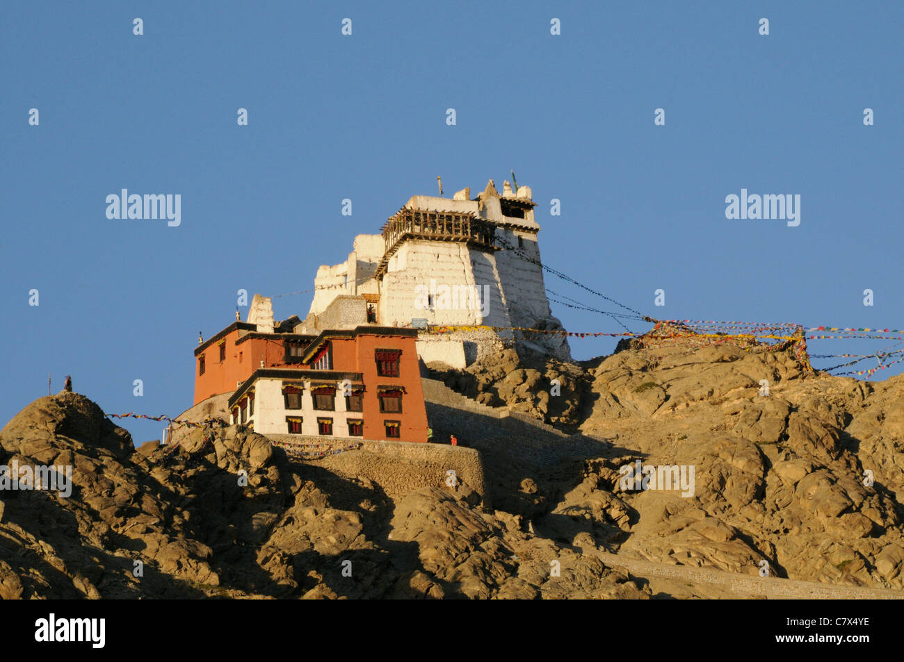Fortress and temples, Namgyal Tsemo Gompa, on the Peak of Victory above Leh.  Namgyal Tsemo Gompa,  Leh, Ladakh, Stock Photo
