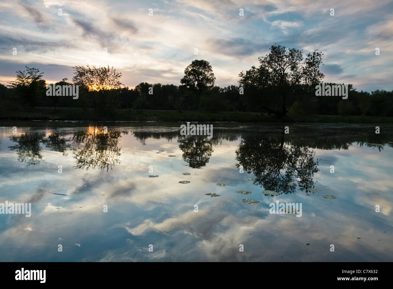 Summer sunset at the river Stock Photo - Alamy
