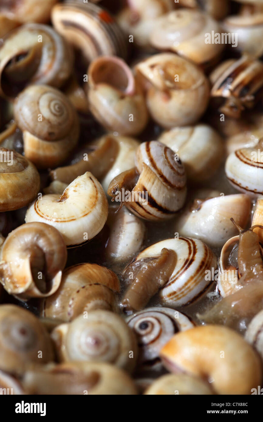 Snails (Caracois) are served for lunch at a Portuguese restaurant. Stock Photo